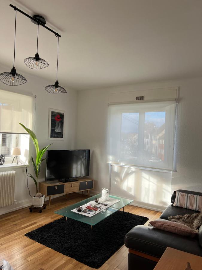Location Chez Marie Apartment Horbourg Exterior photo